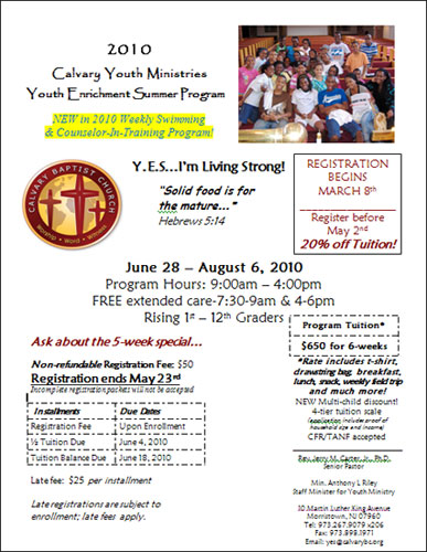 2010 YES Fact Sheet